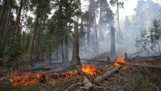 Investing $1.8trn in climate adaptation over the next decade should be made a top priority, the GCA has urged